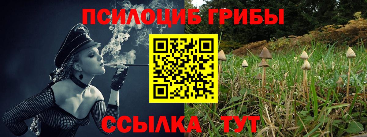 Псилоцибиновые грибы мицелий  Вход с VPN  Туапсе  цены наркотик  Псилоцибиновые грибы ЛСД 