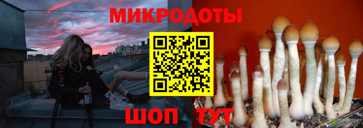 Галлюциногенные грибы мицелий Туапсе
